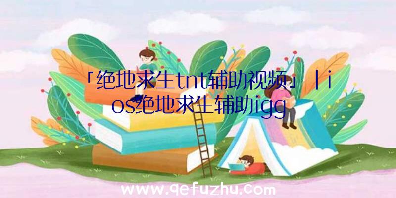 「绝地求生tnt辅助视频」|ios绝地求生辅助igg